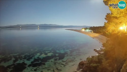Zlatni rat