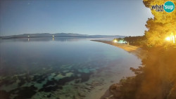 Zlatni rat