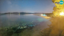 Zlatni rat