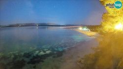 Zlatni rat