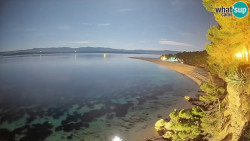 Zlatni rat