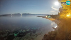 Zlatni rat