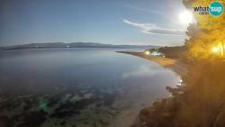 Zlatni rat