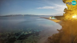 Zlatni rat