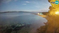 Zlatni rat