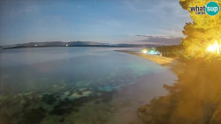 Zlatni rat