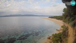 Zlatni rat