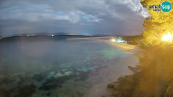 Zlatni rat