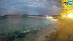 Zlatni rat