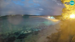 Zlatni rat
