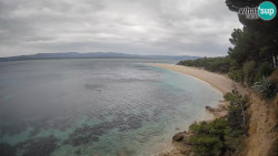 Zlatni rat