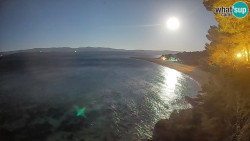 Zlatni rat