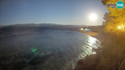 Zlatni rat