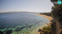 Zlatni rat
