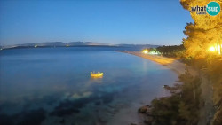 Zlatni rat