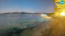 Zlatni rat