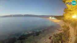 Zlatni rat