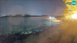 Zlatni rat