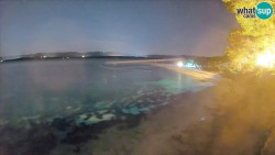 Zlatni rat