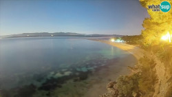 Zlatni rat