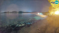 Zlatni rat