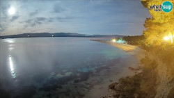 Zlatni rat