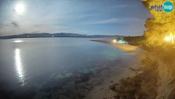 Zlatni rat