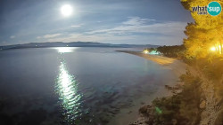 Zlatni rat