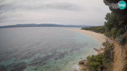 Zlatni rat