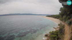Zlatni rat