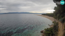 Zlatni rat