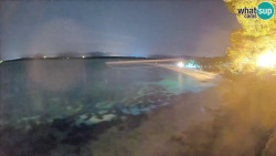 Zlatni rat