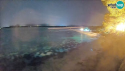Zlatni rat