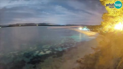 Zlatni rat