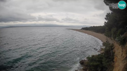 Zlatni rat