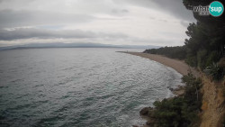 Zlatni rat