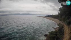 Zlatni rat