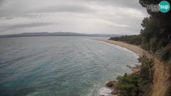 Zlatni rat