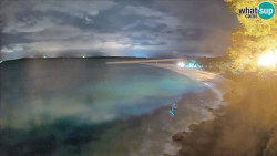 Zlatni rat