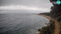 Zlatni rat