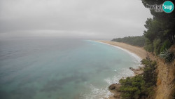 Zlatni rat