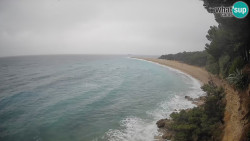 Zlatni rat