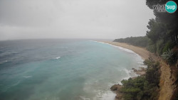 Zlatni rat