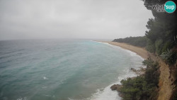 Zlatni rat