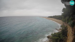 Zlatni rat