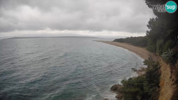 Zlatni rat