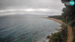 Zlatni rat