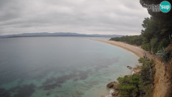 Zlatni rat