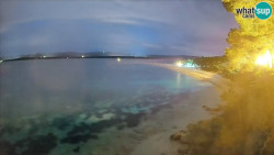 Zlatni rat