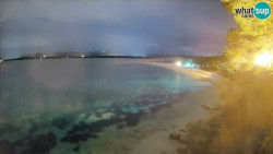 Zlatni rat